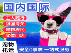 朝阳航空物流国际宠物托运 【国